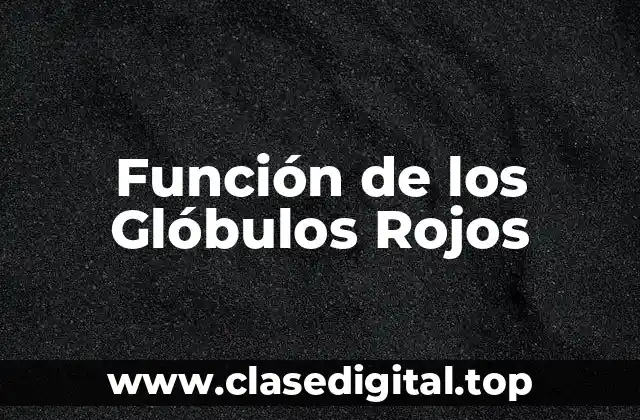 Función de los Glóbulos Rojos