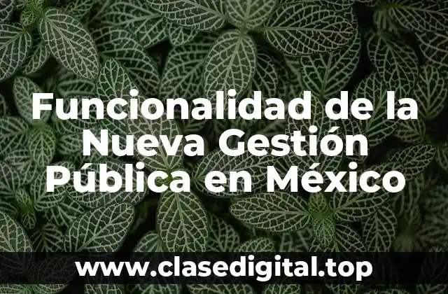 Funcionalidad de la Nueva Gestión Pública en México