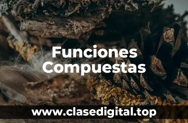 Ejemplos de funciones compuestas