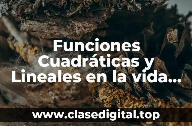 Ejemplos de funciones cuadráticas y lineales