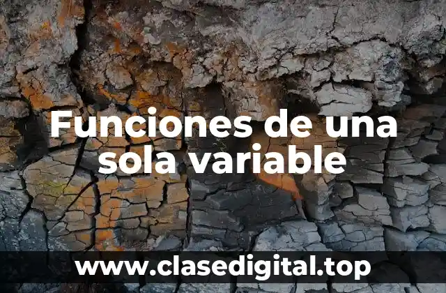 Funciones de una sola variable