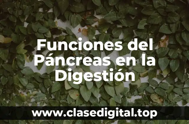 Funciones del Páncreas en la Digestión