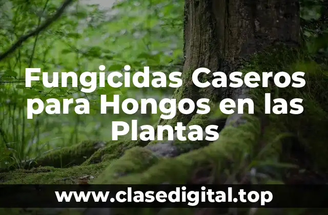 ¿Cuáles son los Síntomas de la Infección por Hongos en las Plantas?