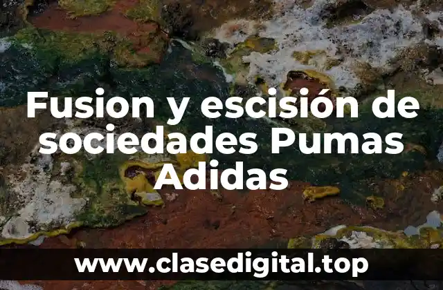 Fusion y escisión de sociedades Pumas Adidas