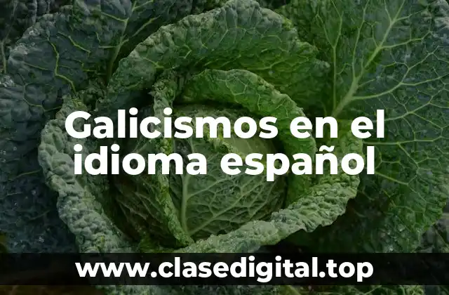 Galicismos en el idioma español