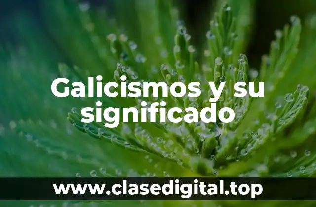 Ejemplos de galicismos