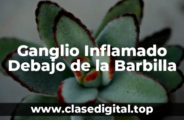 Ganglio Inflamado Debajo de la Barbilla