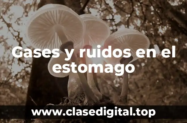 Causas de los gases y ruidos en el estomago