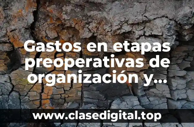 Gastos en etapas preoperativas de organización y administración