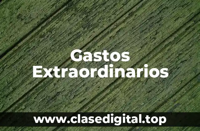 Gastos Extraordinarios
