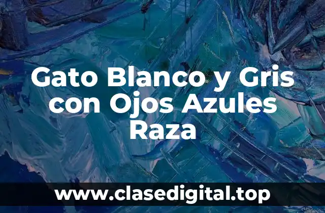 Gato Blanco y Gris con Ojos Azules Raza