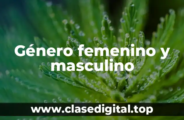 Género femenino y masculino