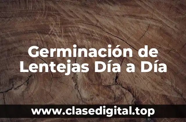Germinación de Lentejas Día a Día