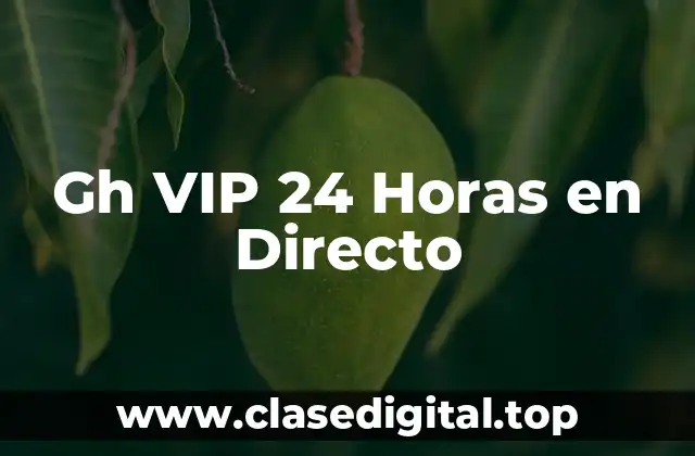 Gh VIP 24 Horas en Directo