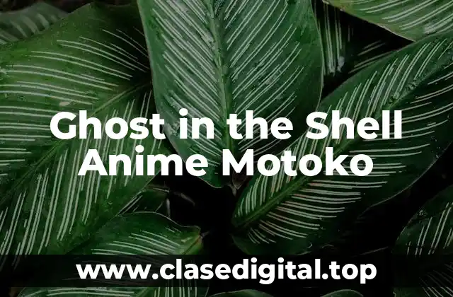 Ghost in the Shell Anime Motoko