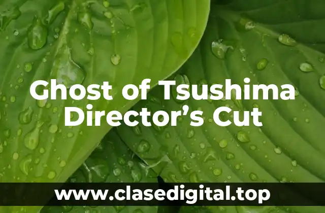 Ghost of Tsushima Director’s Cut