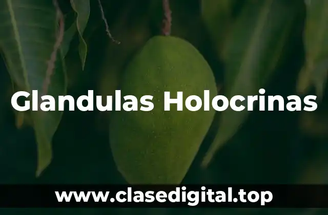 Glandulas Holocrinas