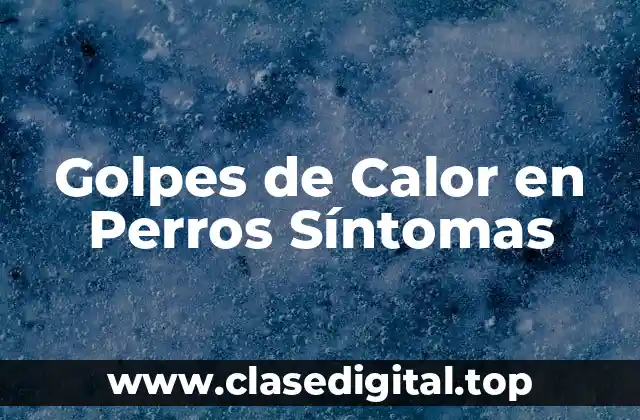 Golpes de Calor en Perros Síntomas