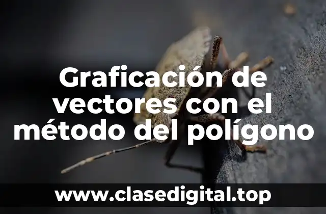 Graficación de vectores con el método del polígono