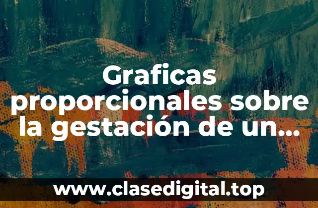 Graficas proporcionales sobre la gestación de un bebé