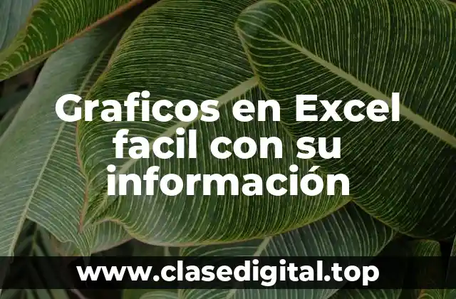 Graficos en Excel facil con su información