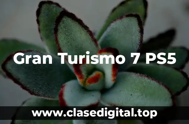 Gran Turismo 7 PS5