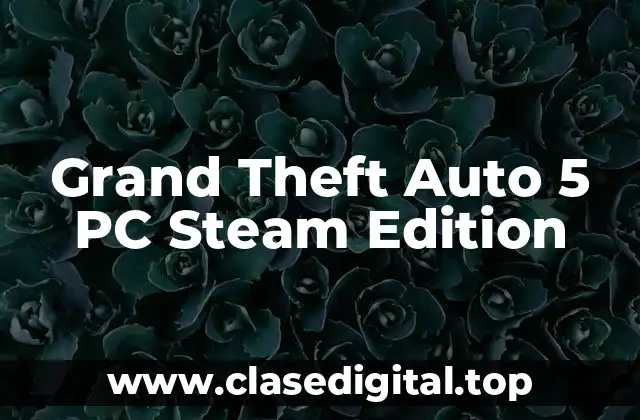 Grand Theft Auto 5 PC Steam Edition
