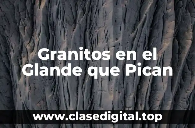 Granitos en el Glande que Pican