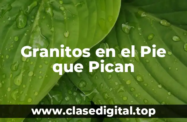 Granitos en el Pie que Pican