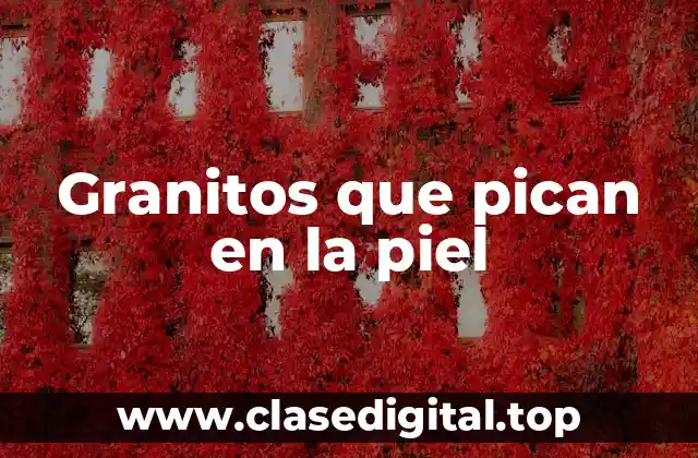 ¿Qué son los Granitos que Pican en la Piel?