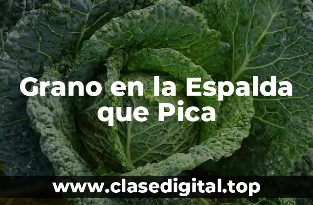 Grano en la Espalda que Pica