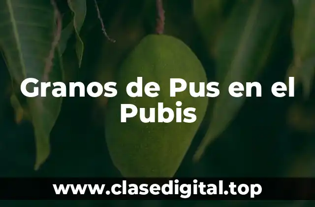¿Qué son los Granos de Pus en el Pubis?
