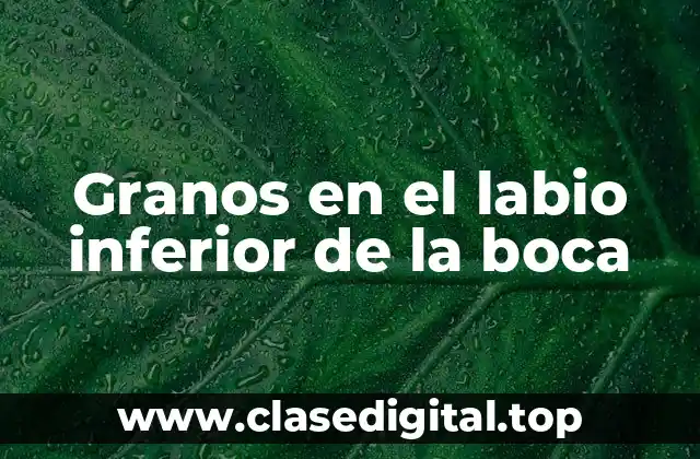 Granos en el labio inferior de la boca