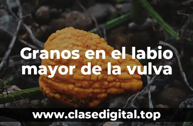 Granos en el labio mayor de la vulva