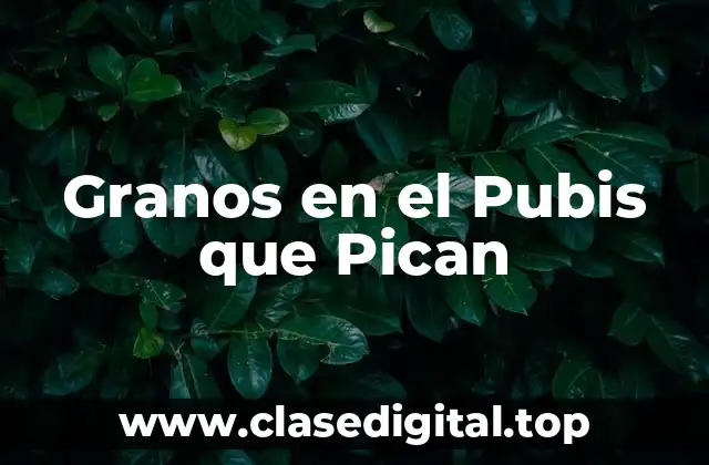 Granos en el Pubis que Pican