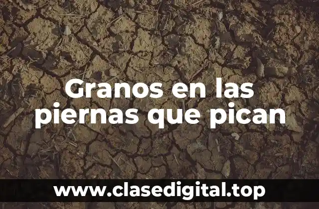 ¿Qué son los granos en las piernas que pican?