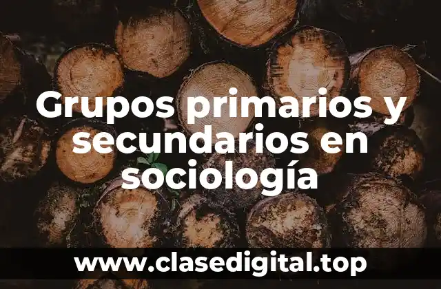 Grupos primarios y secundarios en sociología