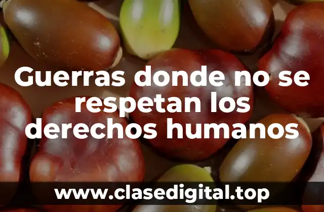 Guerras donde no se respetan los derechos humanos