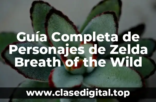 Guía Completa de Personajes de Zelda Breath of the Wild