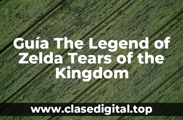Guía The Legend of Zelda Tears of the Kingdom