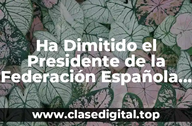 Ha Dimitido el Presidente de la Federación Española de Fútbol