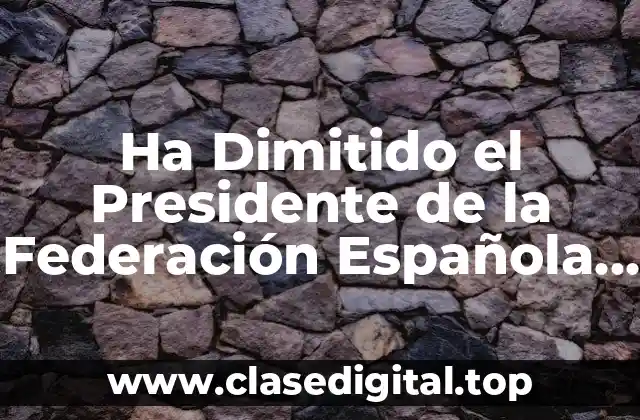 La Crisis de la RFEF: Antecedentes de la Dimisión del Presidente