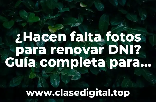 ¿Hacen falta fotos para renovar DNI? Guía completa para renovar tu documento de identidad