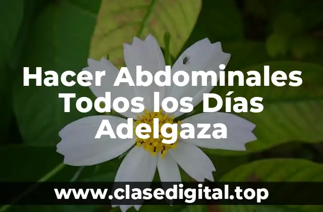 Hacer Abdominales Todos los Días Adelgaza