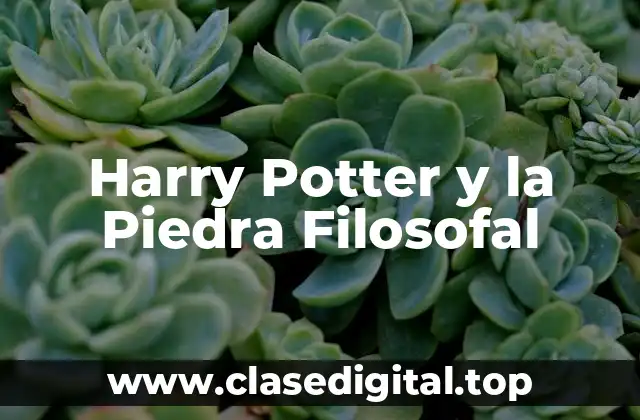 La Creación de la Película