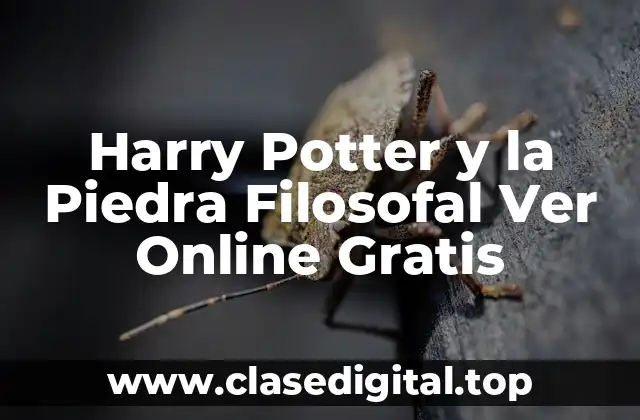 Harry Potter y la Piedra Filosofal Ver Online Gratis
