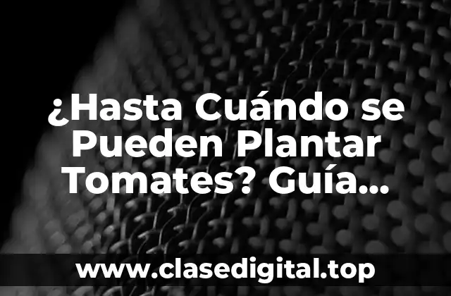 Los Ciclos de Vida de los Tomates: Entendiendo las Fases de Crecimiento