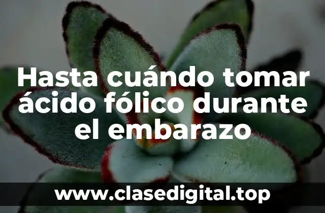 Hasta cuándo tomar ácido fólico durante el embarazo