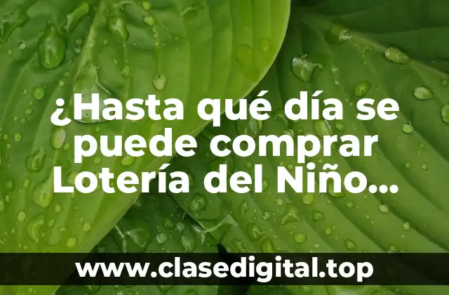 Historia de la Lotería del Niño