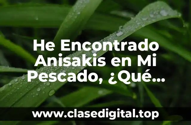 He Encontrado Anisakis en Mi Pescado, ¿Qué Hago?